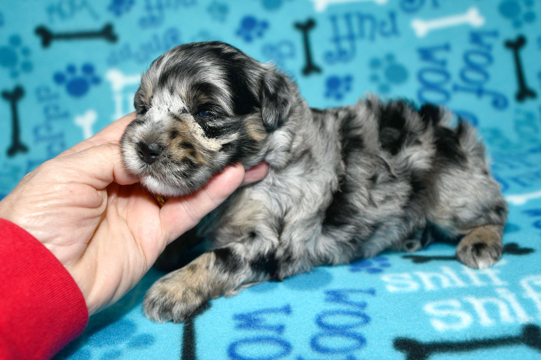 1_DSC_9856 1_DSC_9856