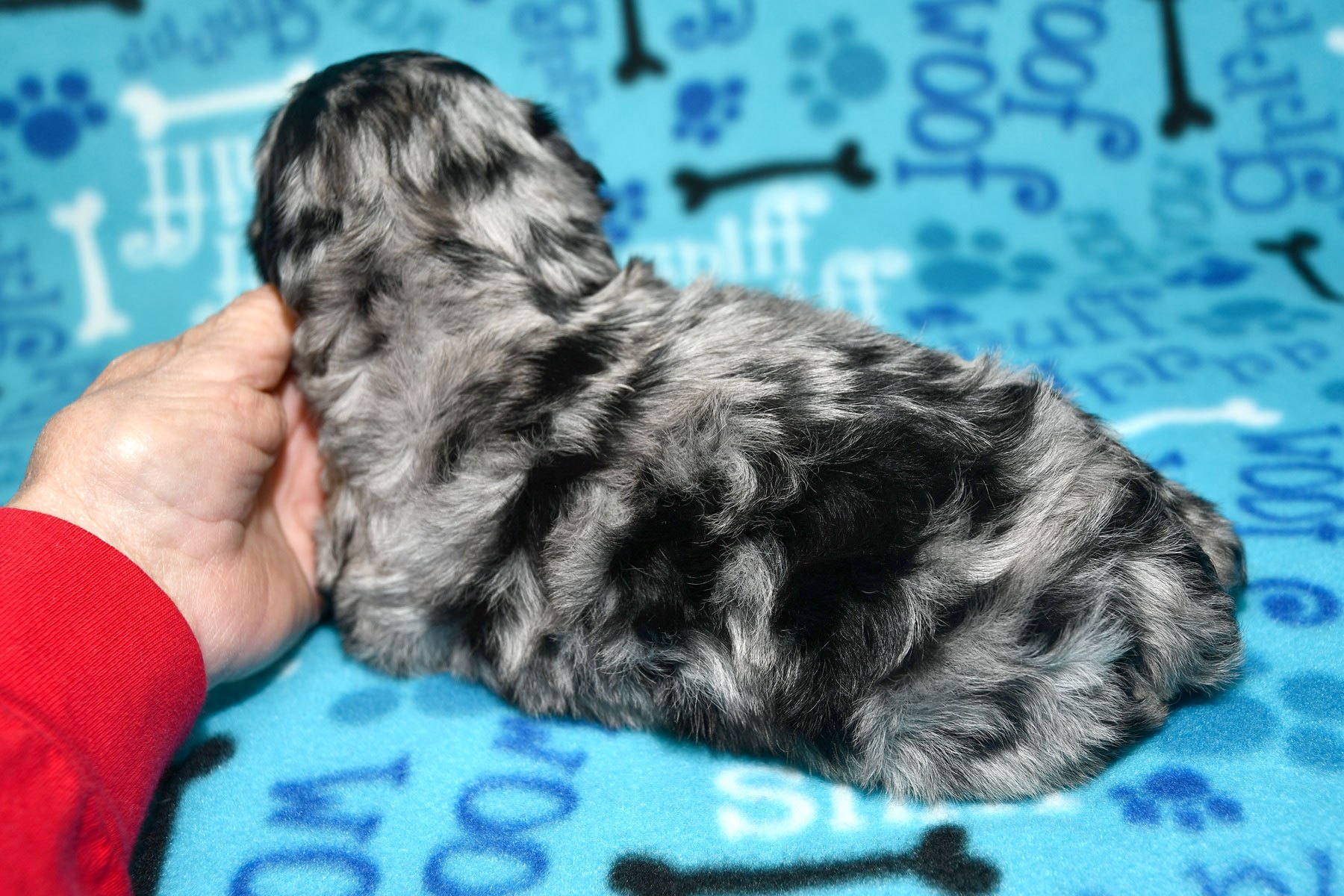 1_DSC_9860 1_DSC_9860