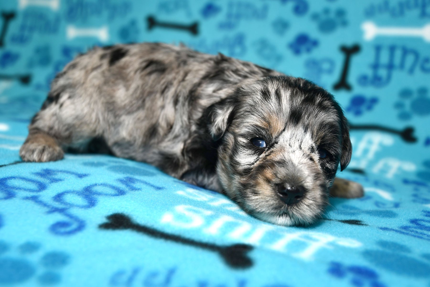 1_DSC_9864 1_DSC_9864