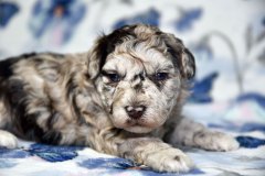 DSC_2553